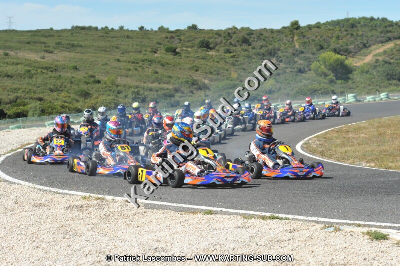 DSC (2816).JPG